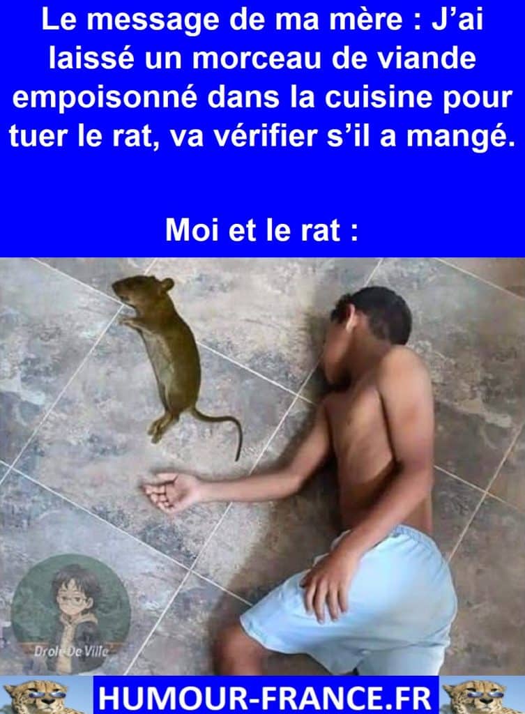 Le message de ma mère : J’ai laissé un morceau de viande empoisonné dans la cuisine pour tuer le rat, va vérifier s’il a mangé.