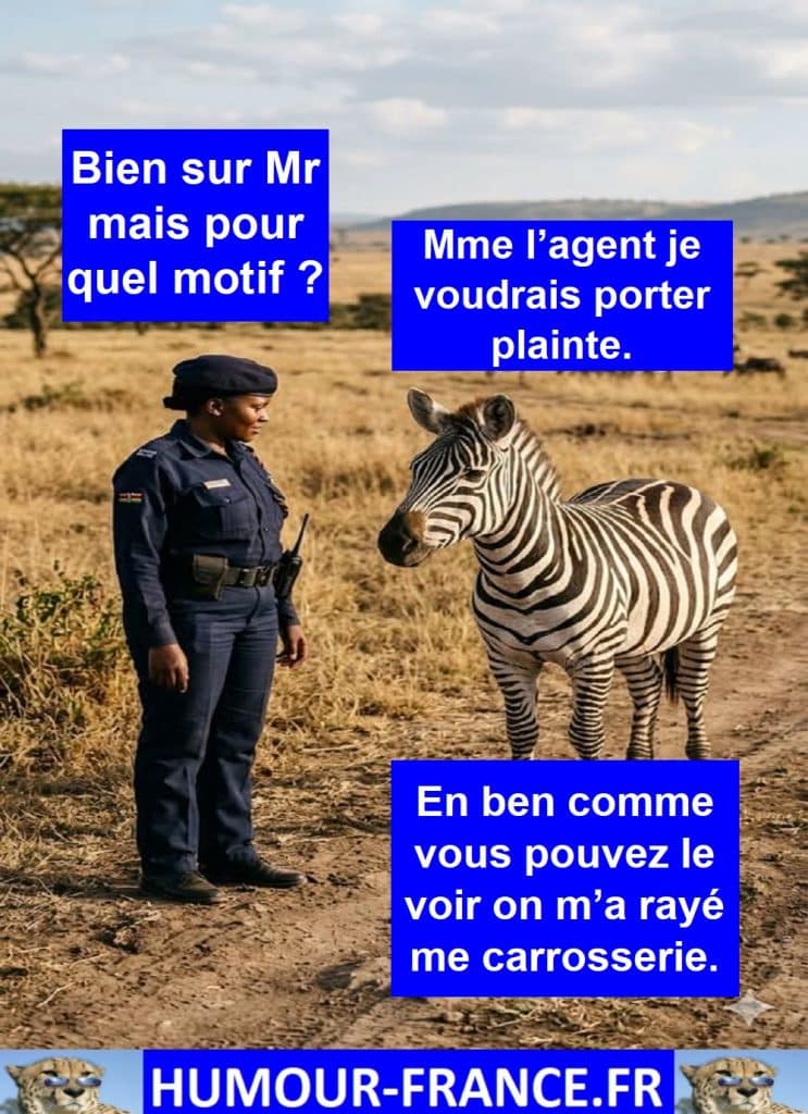 Mme l’agent je voudrais porter plainte.