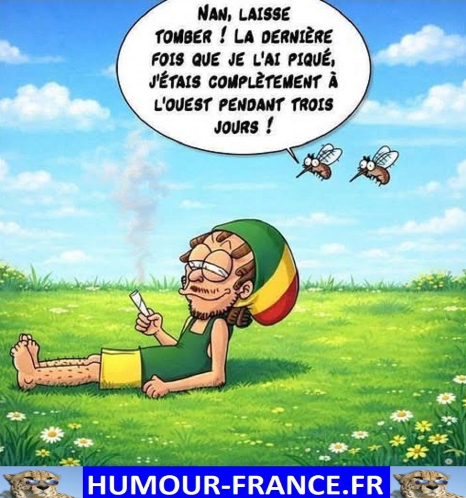 Non, laisse tomber ! la dernière fois que je l’ai piqué, j’étais complètement à l’ouest pendant trois jours !