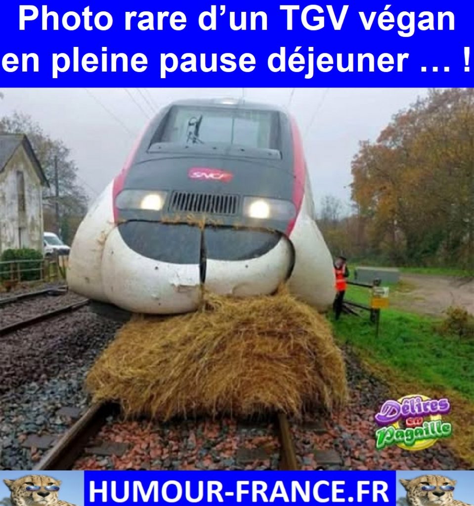 Photo rare d’un TGV végan en pleine pause déjeuner … !