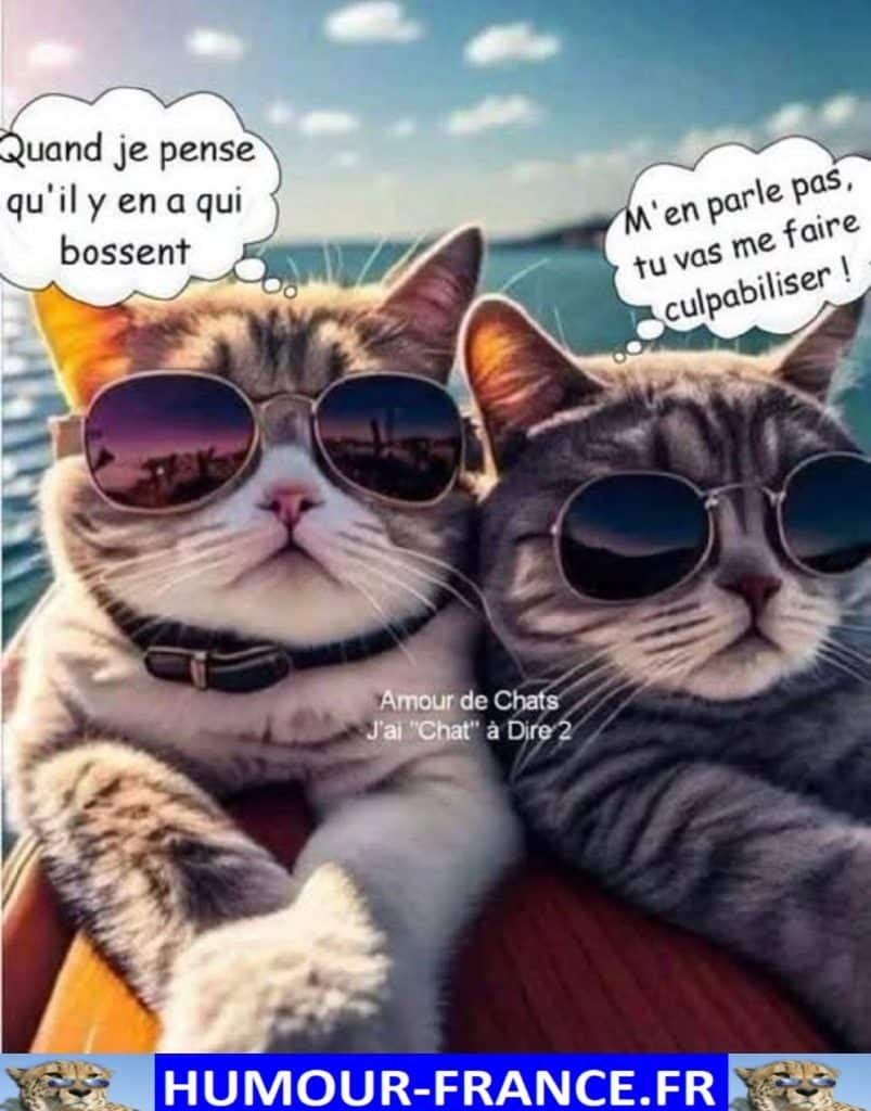 Quand je pense qu’il en a qui bossent.