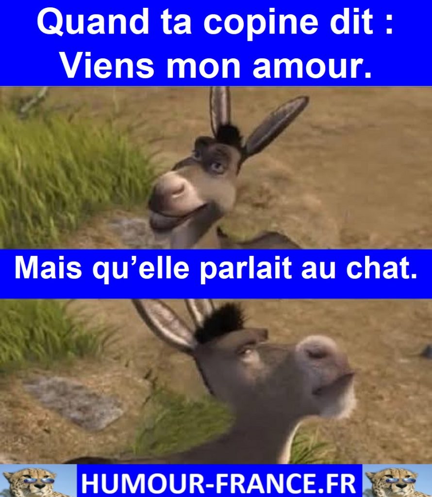 Quand ta copine dit : Viens mon amour.