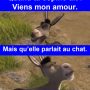 Quand ta copine dit : Viens mon amour.