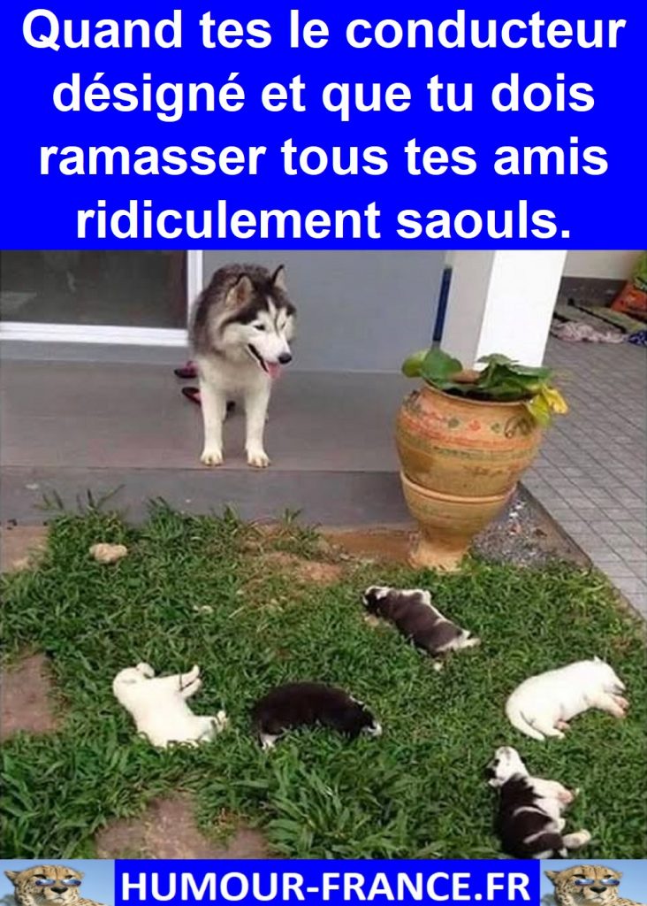 Quand tes le conducteur désigné et que tu dois ramasser tous tes amis ridiculement saouls.