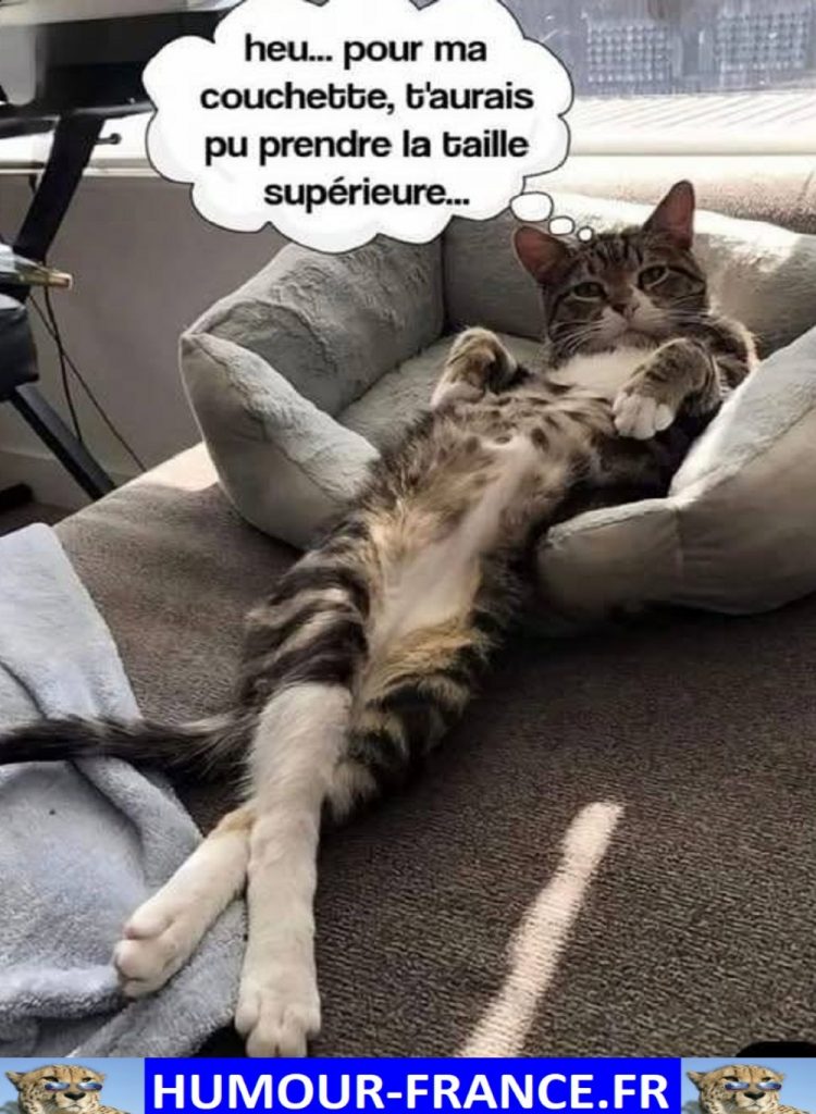Heu … pour ma couchette, tu aurais pu prendre la taille supérieure …