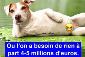Il y a des jours comme ça …