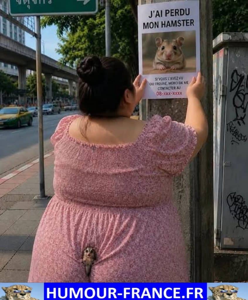 J’ai perdu mon hamster.