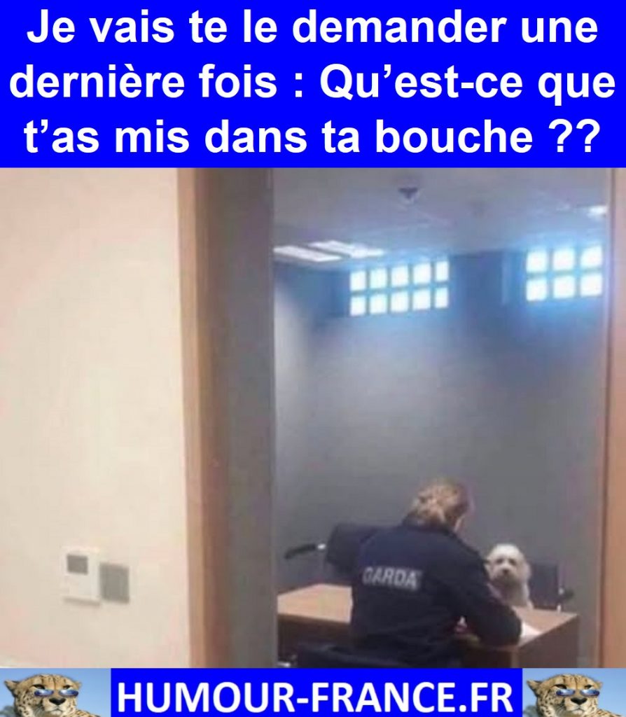 Je vais te le demander une dernière fois : Qu’est-ce que t’as mis dans ta bouche ??