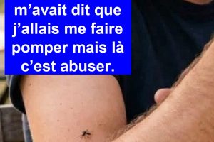 La voyante m’avait dit que j’allais me faire pomper mais là c’est abuser.