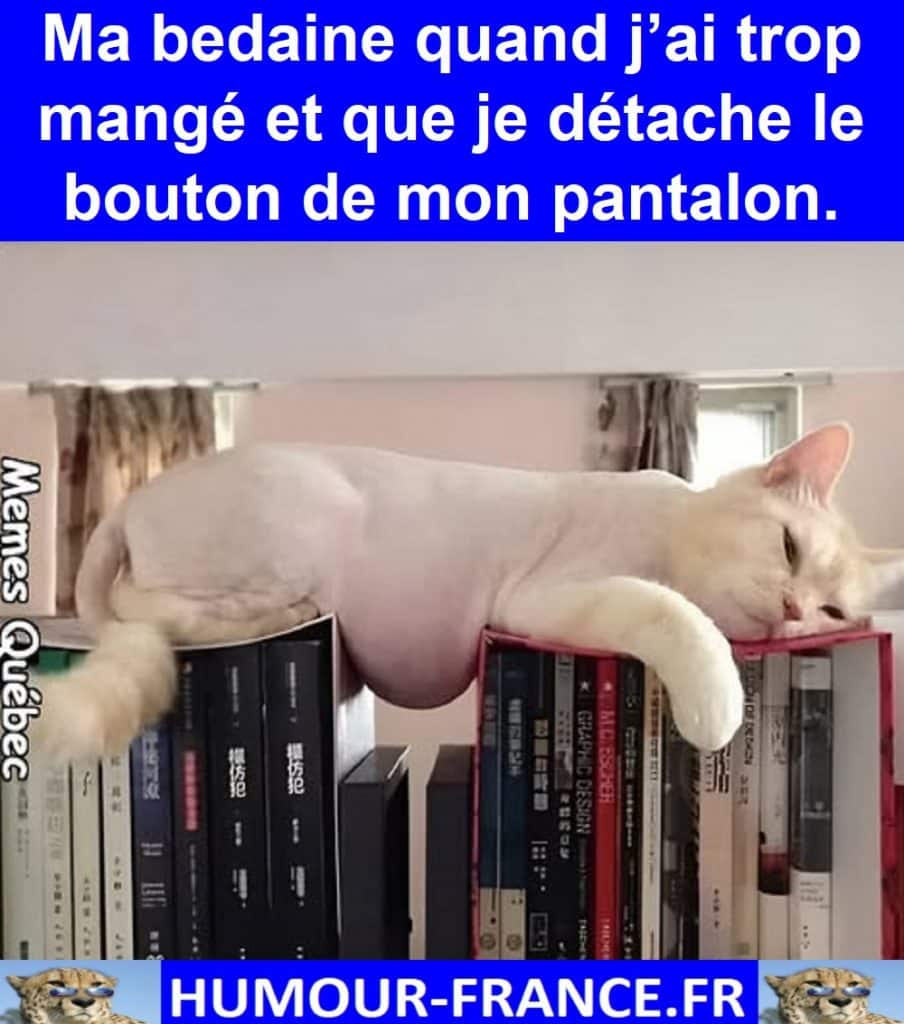 Ma bedaine quand j’ai trop mangé et que je détache le bouton de mon pantalon.