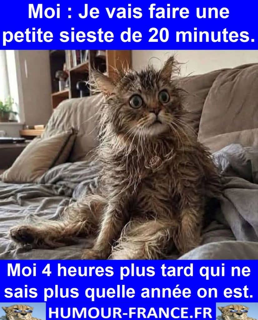 Moi : Je vais faire une petite sieste de 20 minutes.