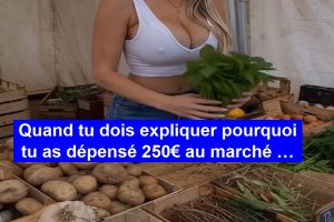 Quand tu dois expliquer pourquoi tu as dépensé 250€ au marché …