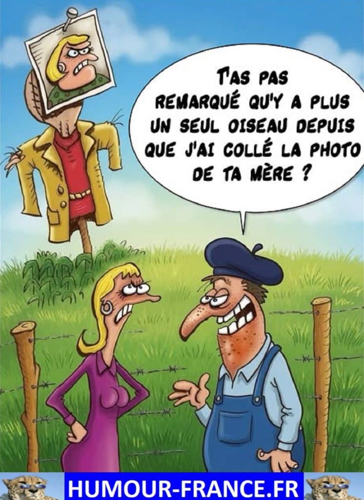Tu n’as pas remarqué qu’y a plus un seul oiseau depuis que j’ai collé la photo de ta mère ?