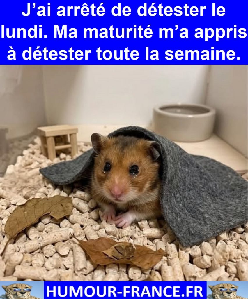 J’ai arrêté de détester le lundi. Ma maturité m’a appris à détester toute la semaine.