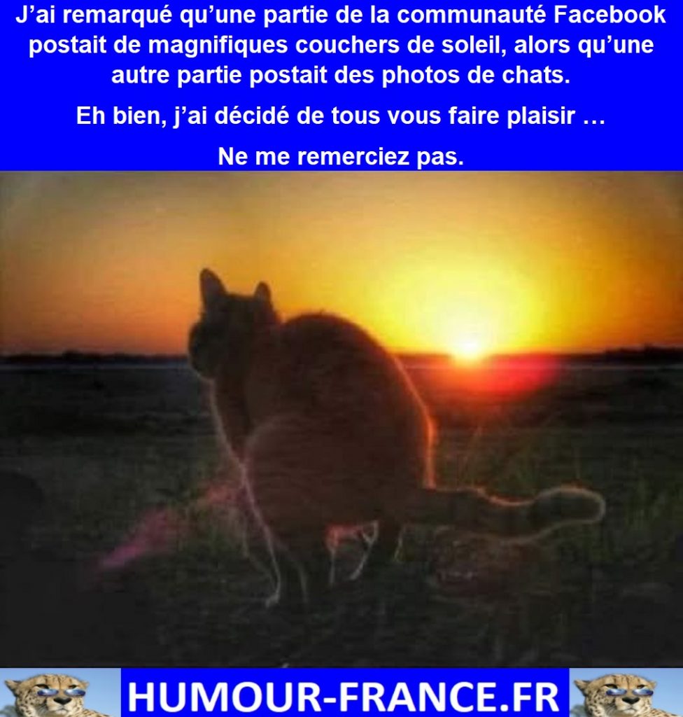 J’ai remarqué qu’une partie de la communauté Facebook postait de magnifiques couchers de soleil, alors qu’une autre partie postait des photos de chats.