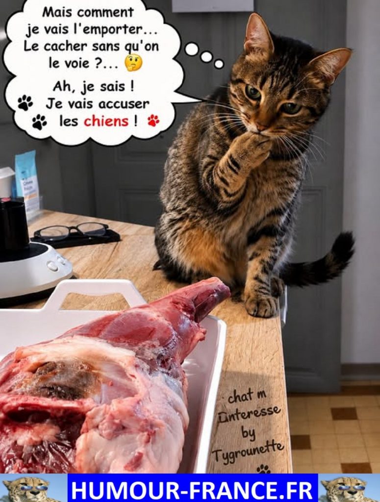 Mais comment je vais l’emporter …