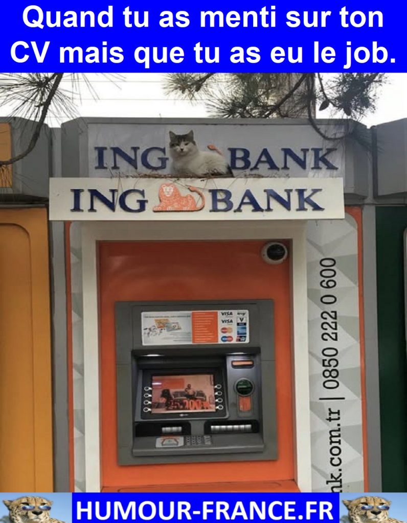 Quand tu as menti sur ton CV mais que tu as eu le job.