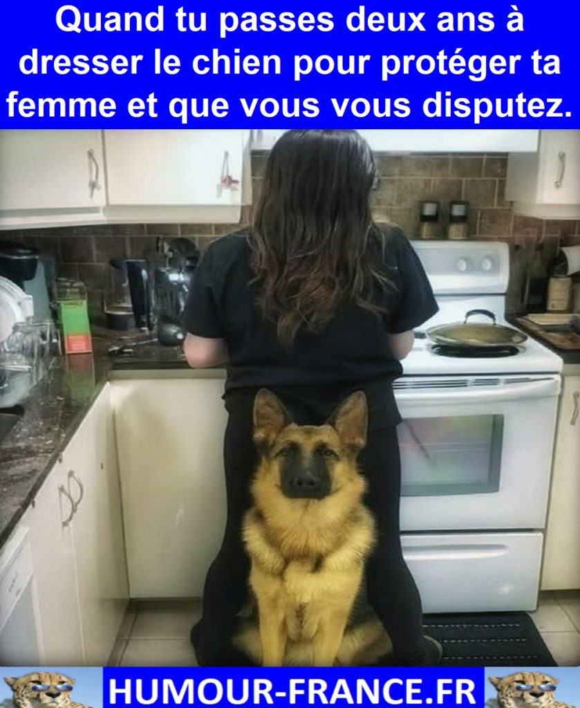 Quand tu passes deux ans à dresser le chien pour protéger ta femme et que vous vous disputez.