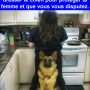 Quand tu passes deux ans à dresser le chien pour protéger ta femme et que vous vous disputez.