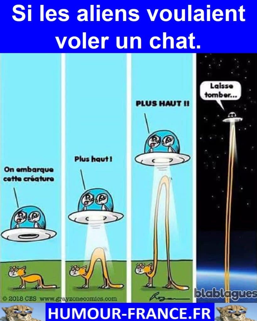 Si les aliens voulaient voler un chat.