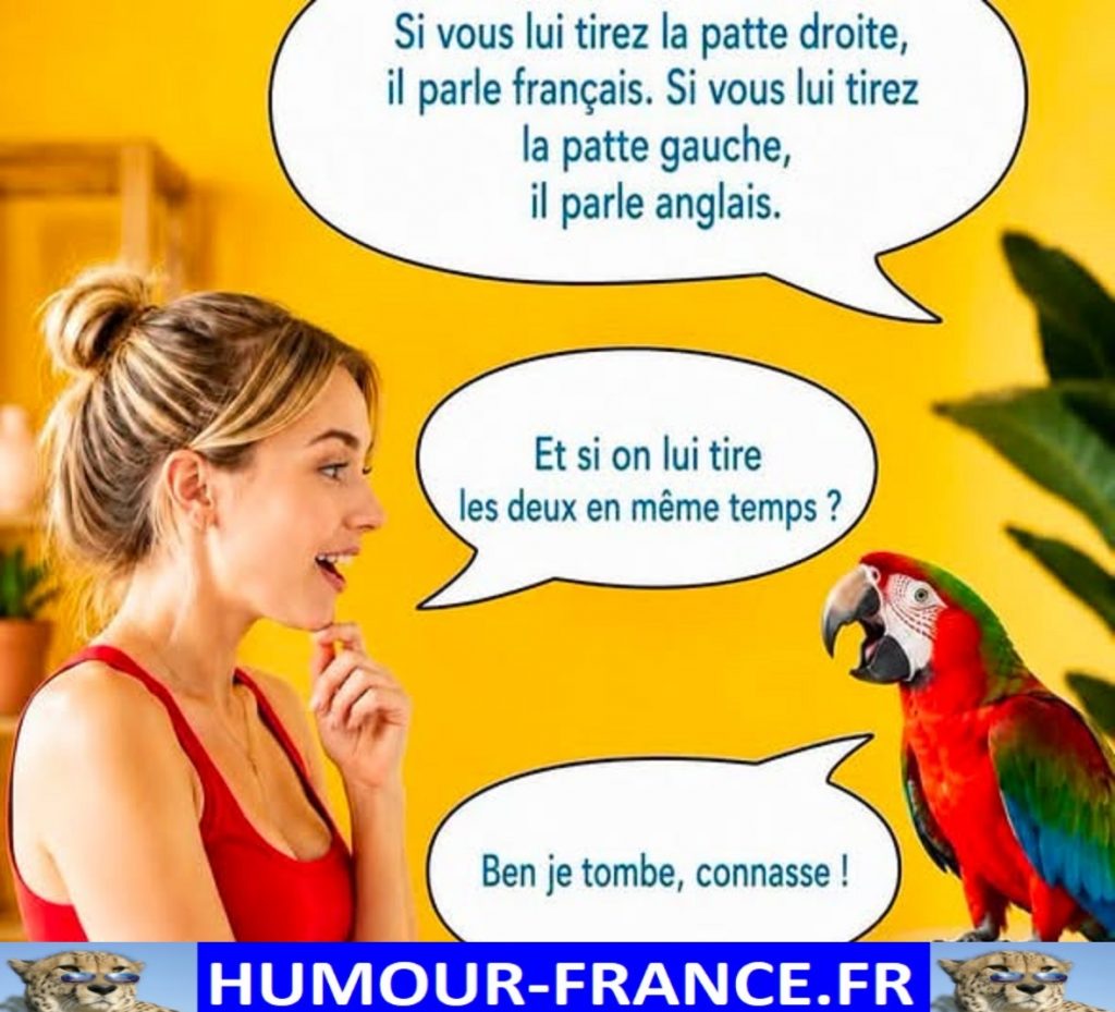 Si vous lui tirez la patte droite il parle français.