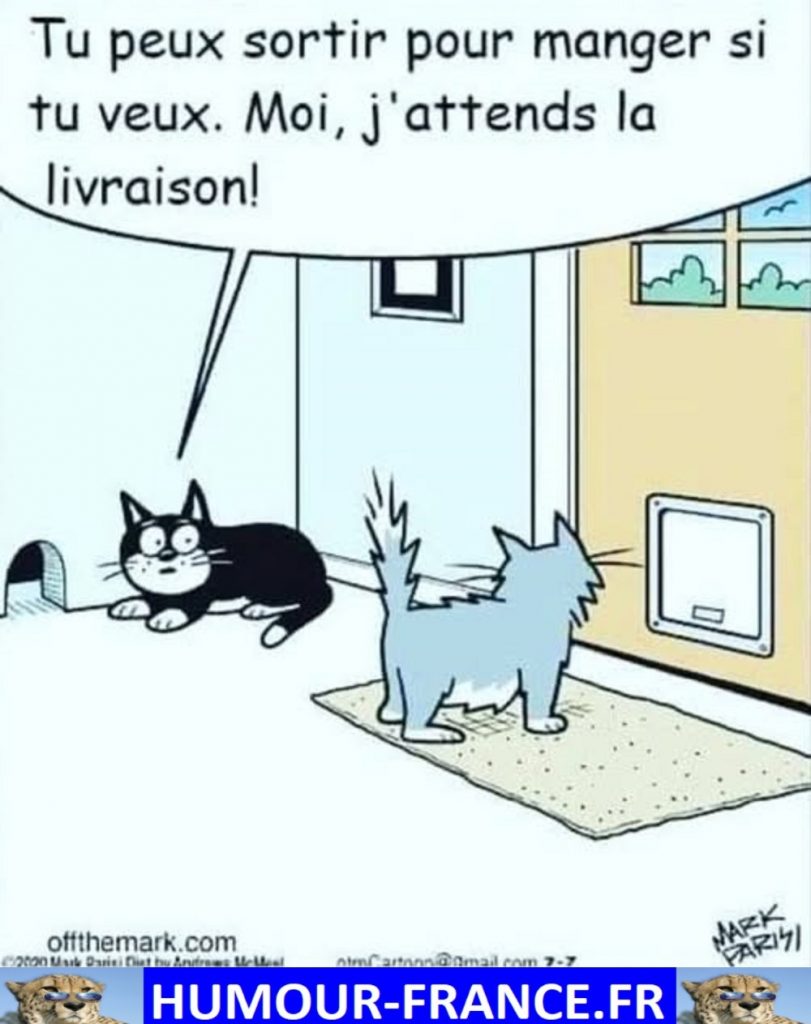 Tu peux sortir pour manger si tu veux. Moi, j’attends la livraison !