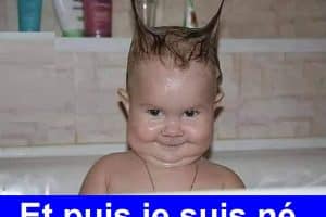 Avant, la maison était très calme …