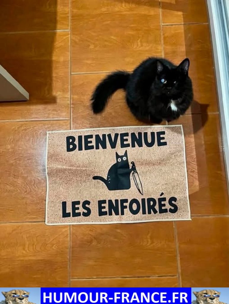 Bienvenue les enfoirés.
