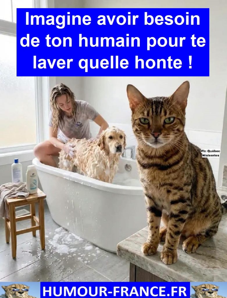 Imagine avoir besoin de ton humain pour te laver quelle honte !