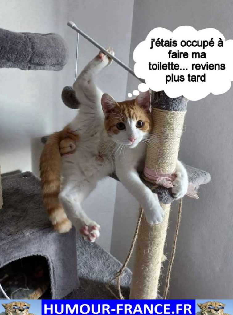 J’étais occupé à faire ma toilette … reviens plus tard.