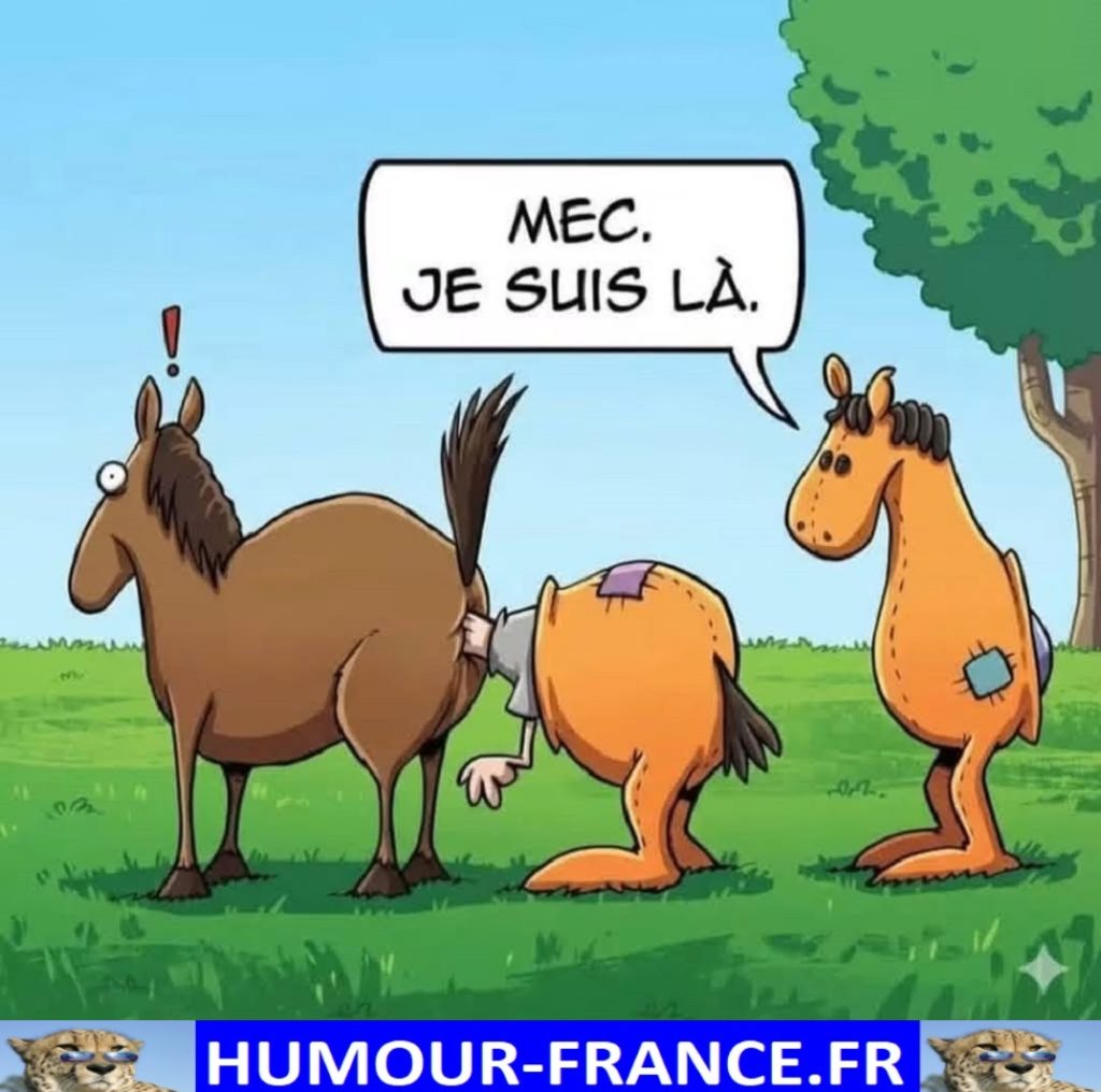 Mec. Je suis là.