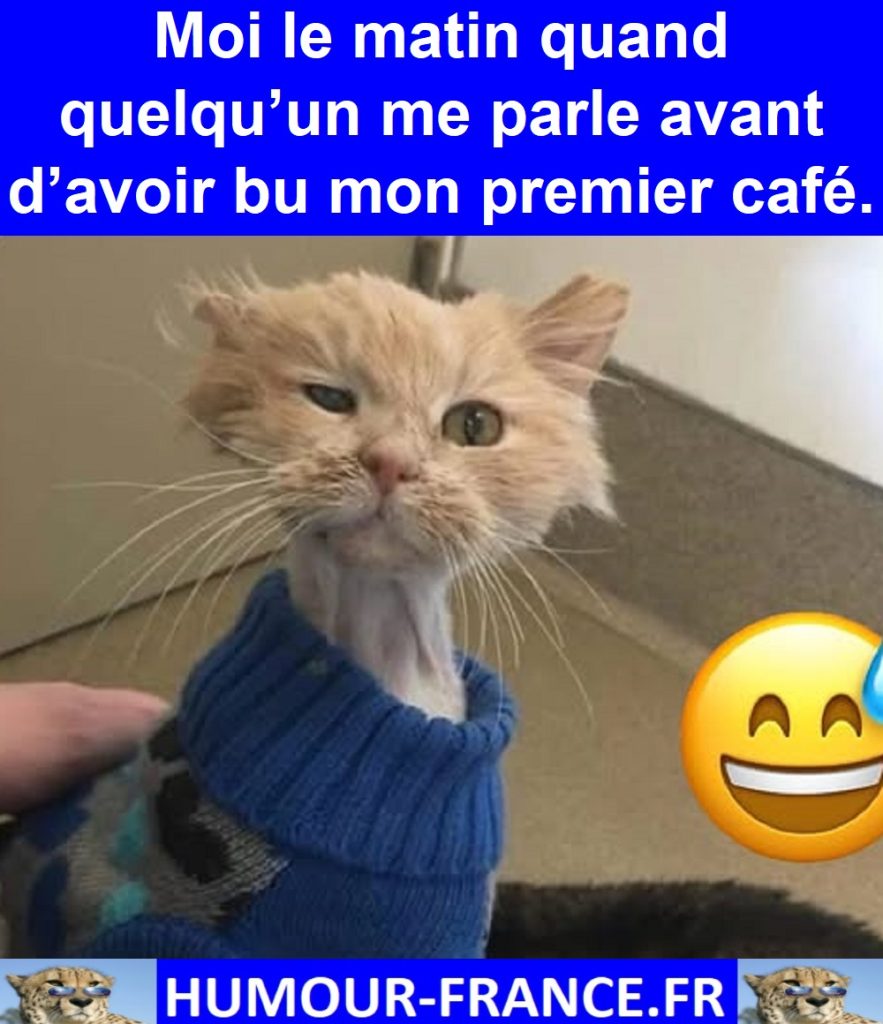 Moi le matin quand quelqu’un me parle avant d’avoir bu mon premier café.