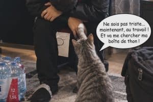 Ne sois pas triste … maintenant, au travail ! Et va me chercher ma boîte de thon !