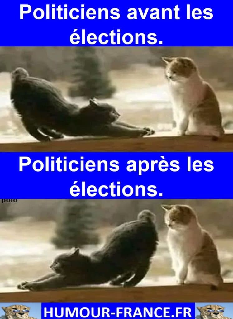 Politiciens avant les élections.