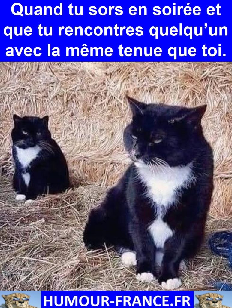 Quand tu sors en soirée et que tu rencontres quelqu’un avec la même tenue que toi.