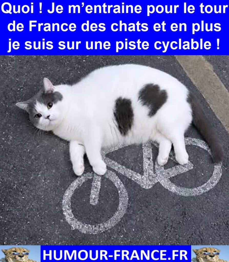Quoi ! Je m’entraine pour le tour de France des chats et en plus je suis sur une piste cyclable !