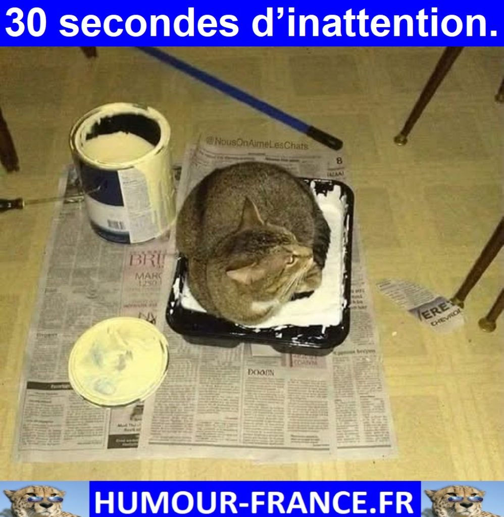 30 secondes d’inattention.