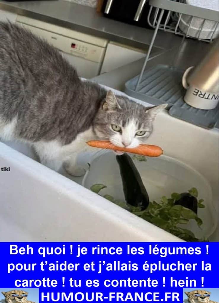 Beh quoi ! je rince les légumes ! pour t’aider et j’allais éplucher la carotte ! tu es contente ! hein !