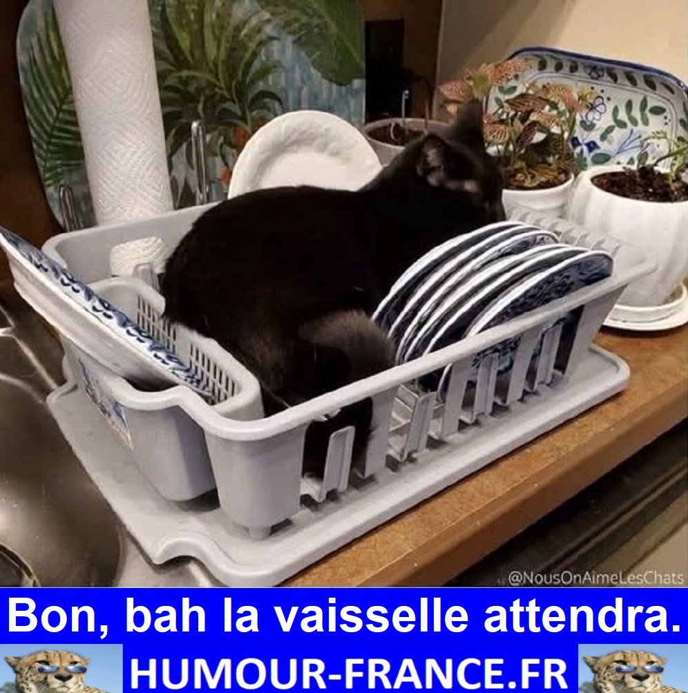Bon, bah la vaisselle attendra.