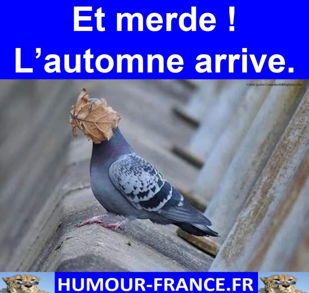 Et merde ! L’automne arrive.