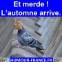 Et merde ! L’automne arrive.