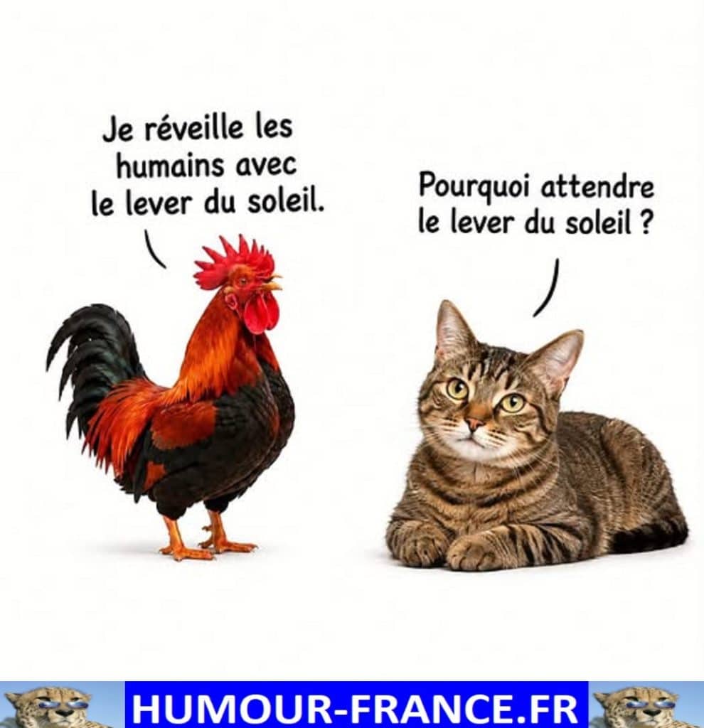 Je réveille les humains avec le lever du soleil.