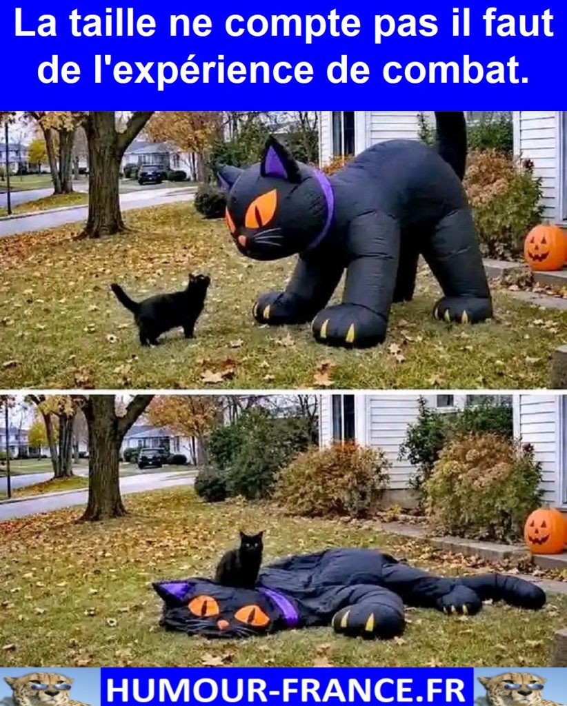 La taille ne compte pas il faut de l'expérience de combat.
