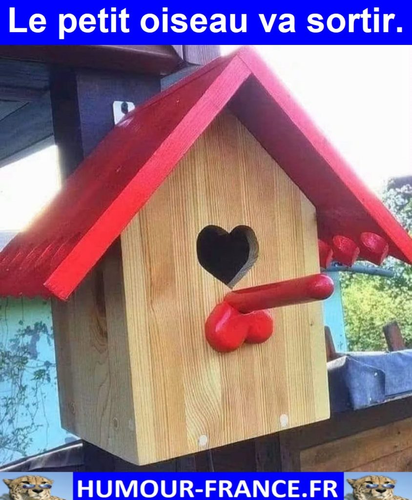 Le petit oiseau va sortir.