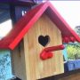 Le petit oiseau va sortir.