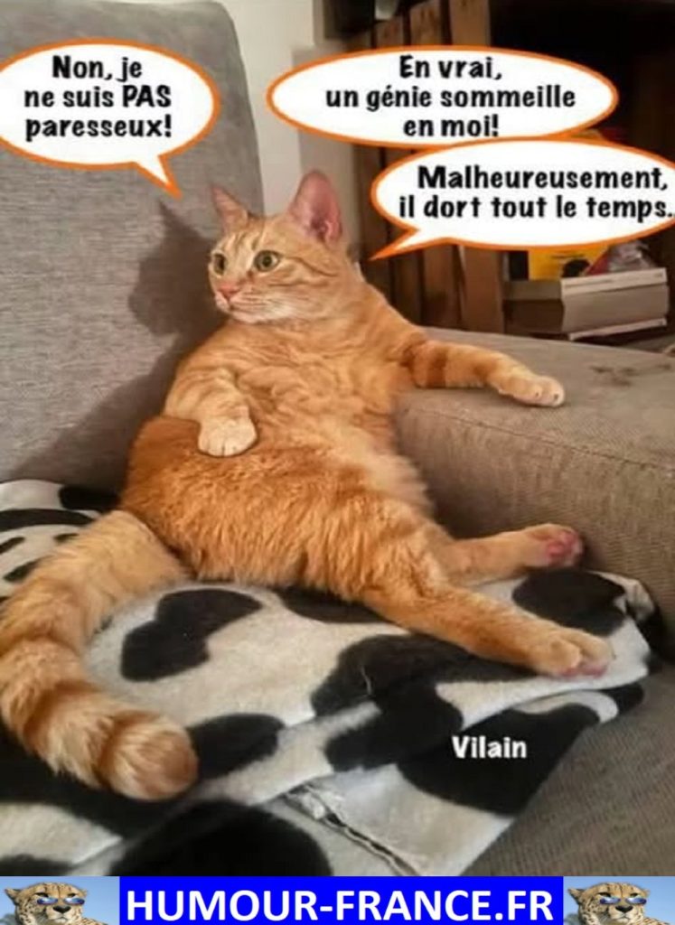 Non je ne suis pas paresseux !