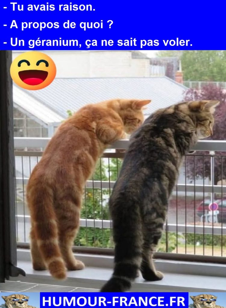Tu avais raison.